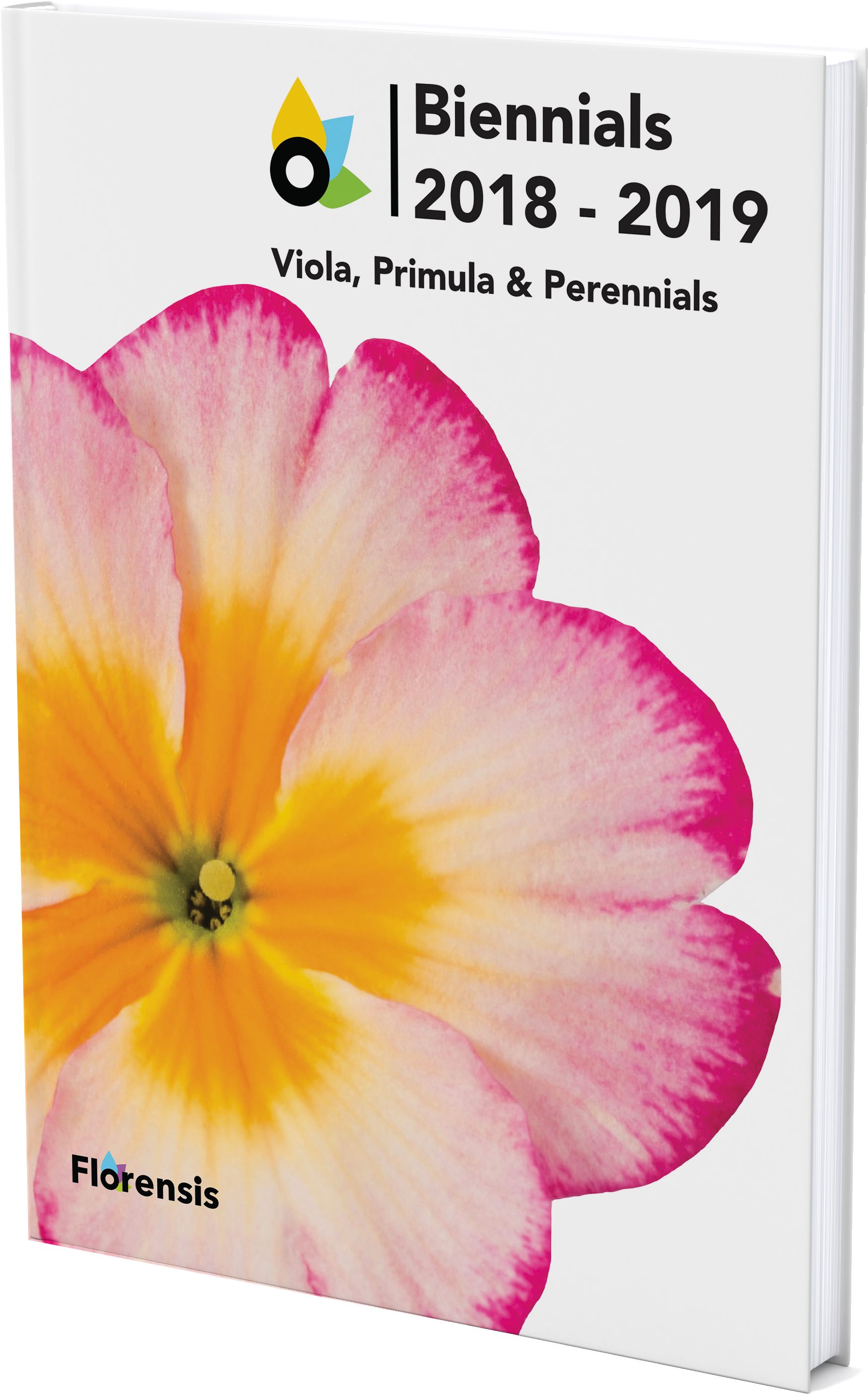 Catalogue - Geranium (2734x3645), Png Download