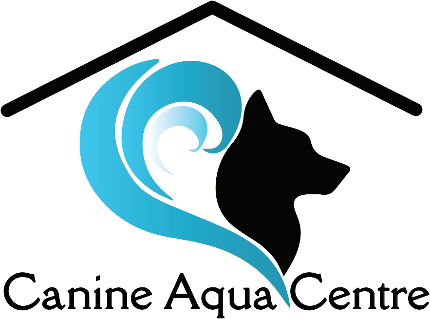 Cac Logo Sml Bg (908x688), Png Download