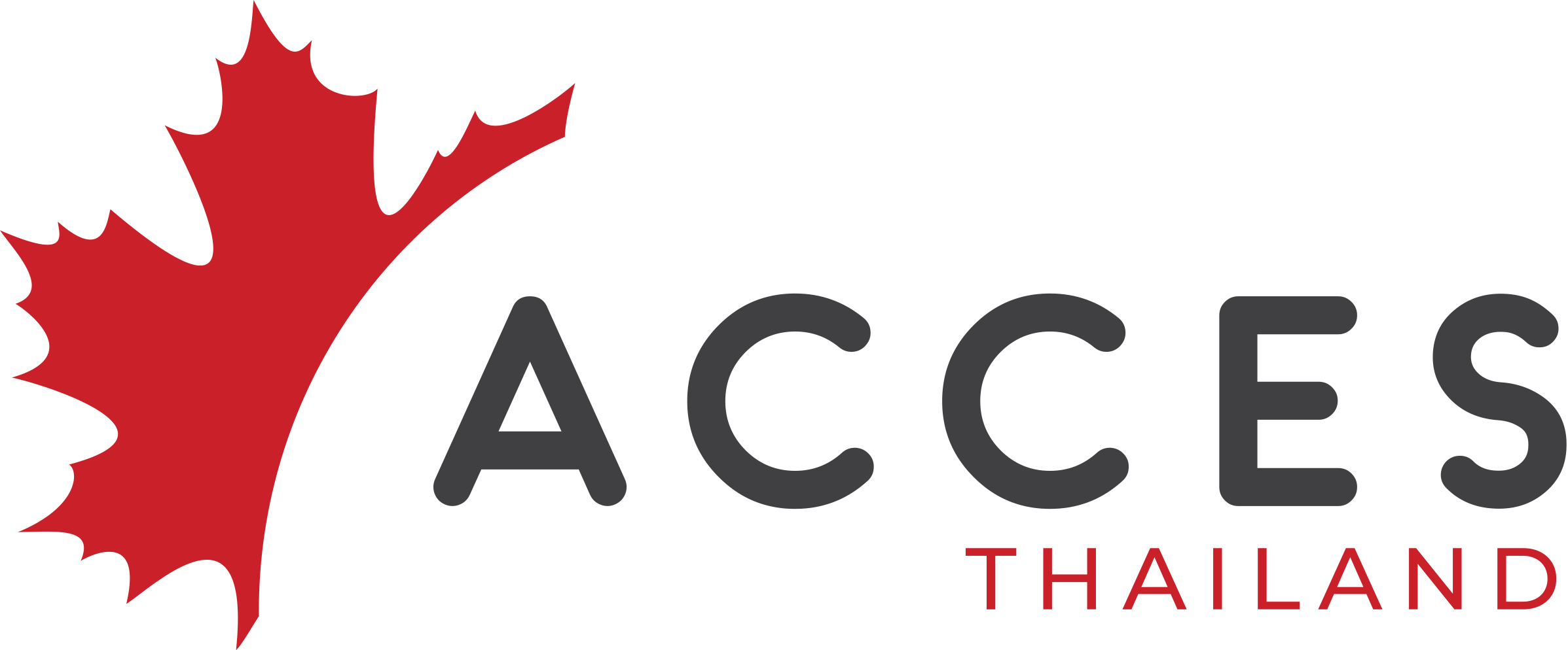 Acces - Graphics (2395x994), Png Download