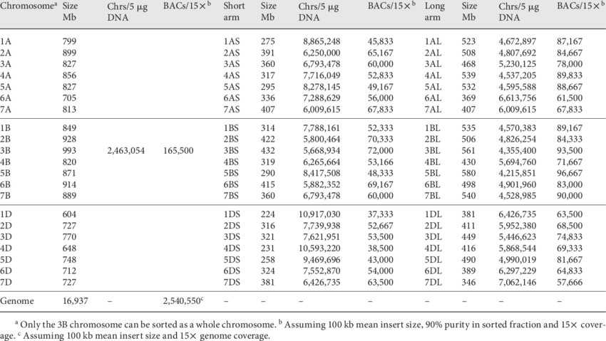 M Olecular Size Of Wheat Chromosomes And Chromosome - Size Chromosome Arms (850x479), Png Download