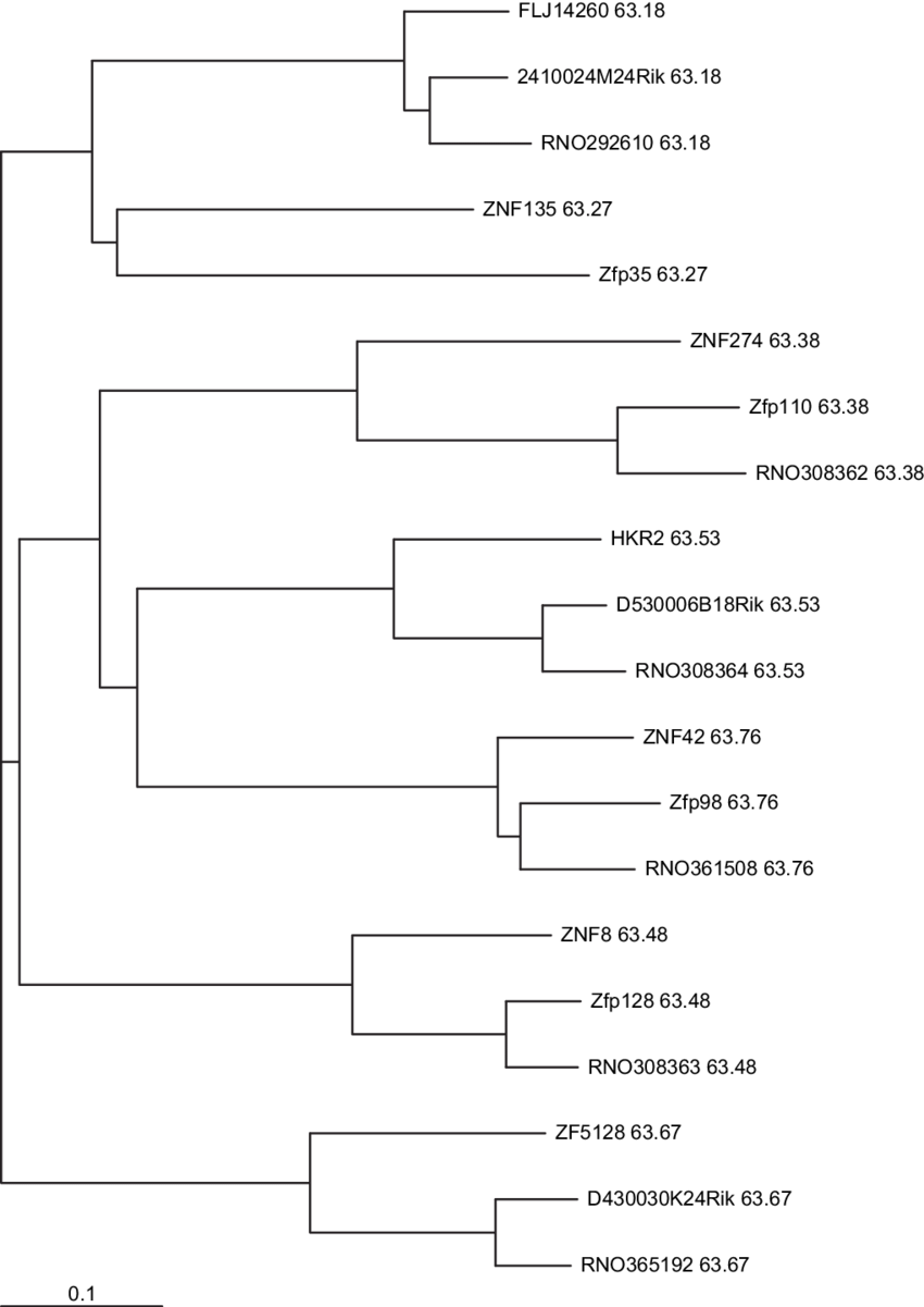 -genes Near The Telomere Of Human Chromosome 19 That - Number (850x1201), Png Download