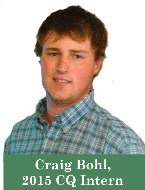 Jointing And First Hollow Stem In Wheat Production - Bridal Party (500x667), Png Download