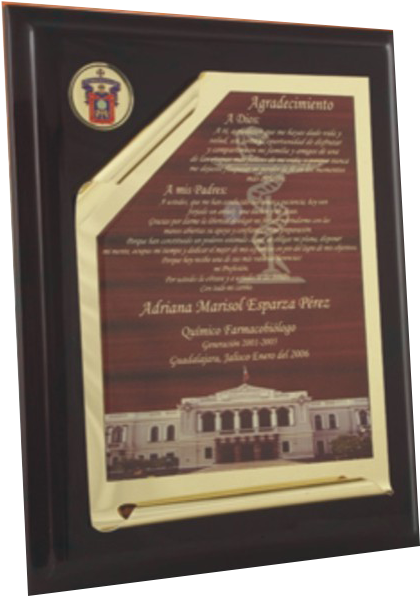 Pergamino - Placa De Reconocimiento A Color (535x631), Png Download