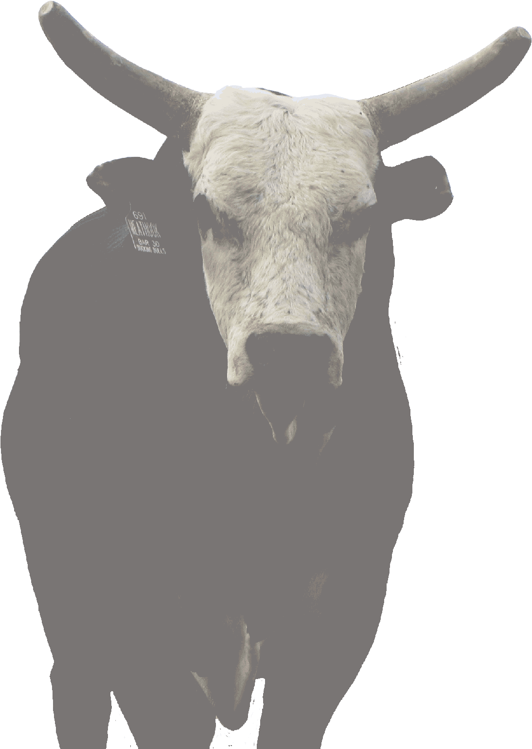 Meat Hook - Horn (1200x1554), Png Download