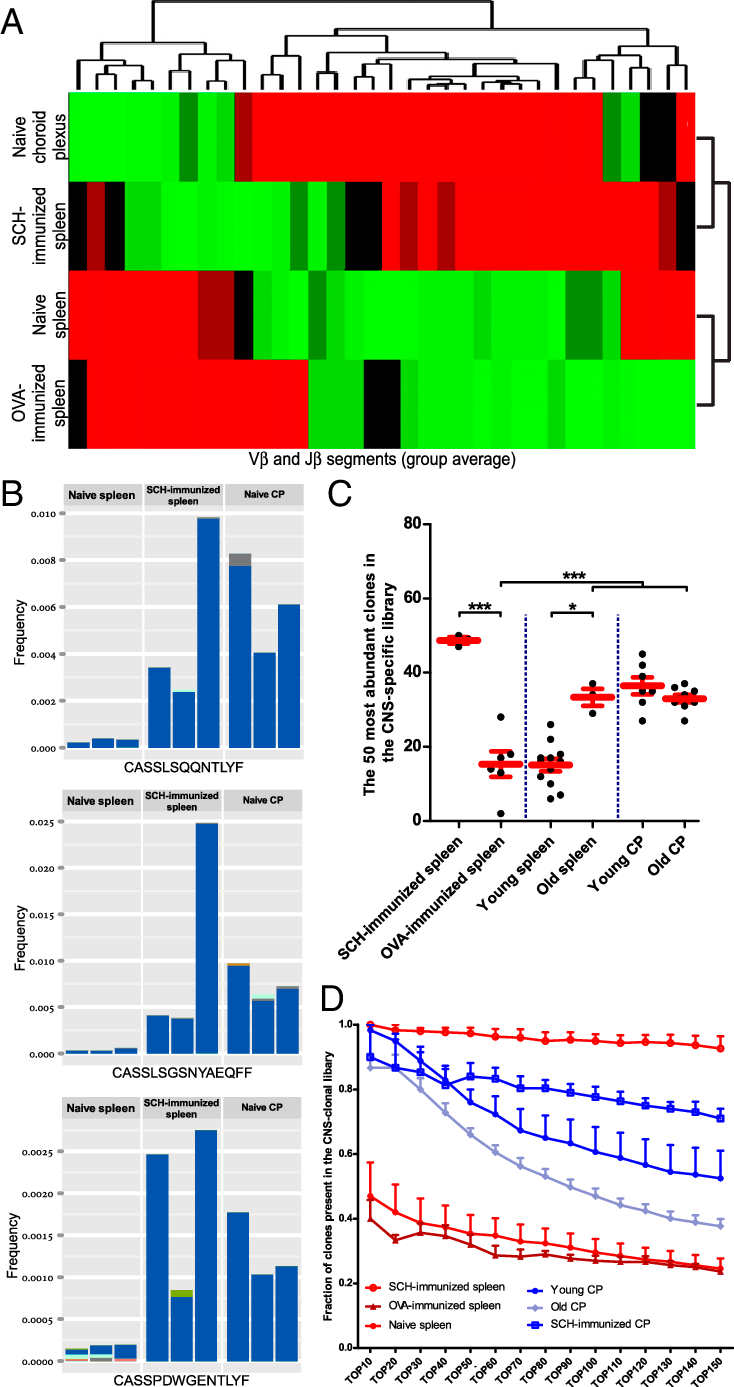The Choroid Plexus Cd4 Tcr Repertoire Is Enriched With - Diagram (734x1387), Png Download
