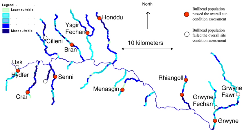 Bullhead Physical Habitat Suitability And Population - Map (850x448), Png Download