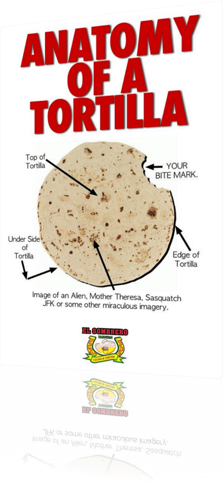 Vign Anatomy Of A Tortilla - Bhakri (453x1000), Png Download