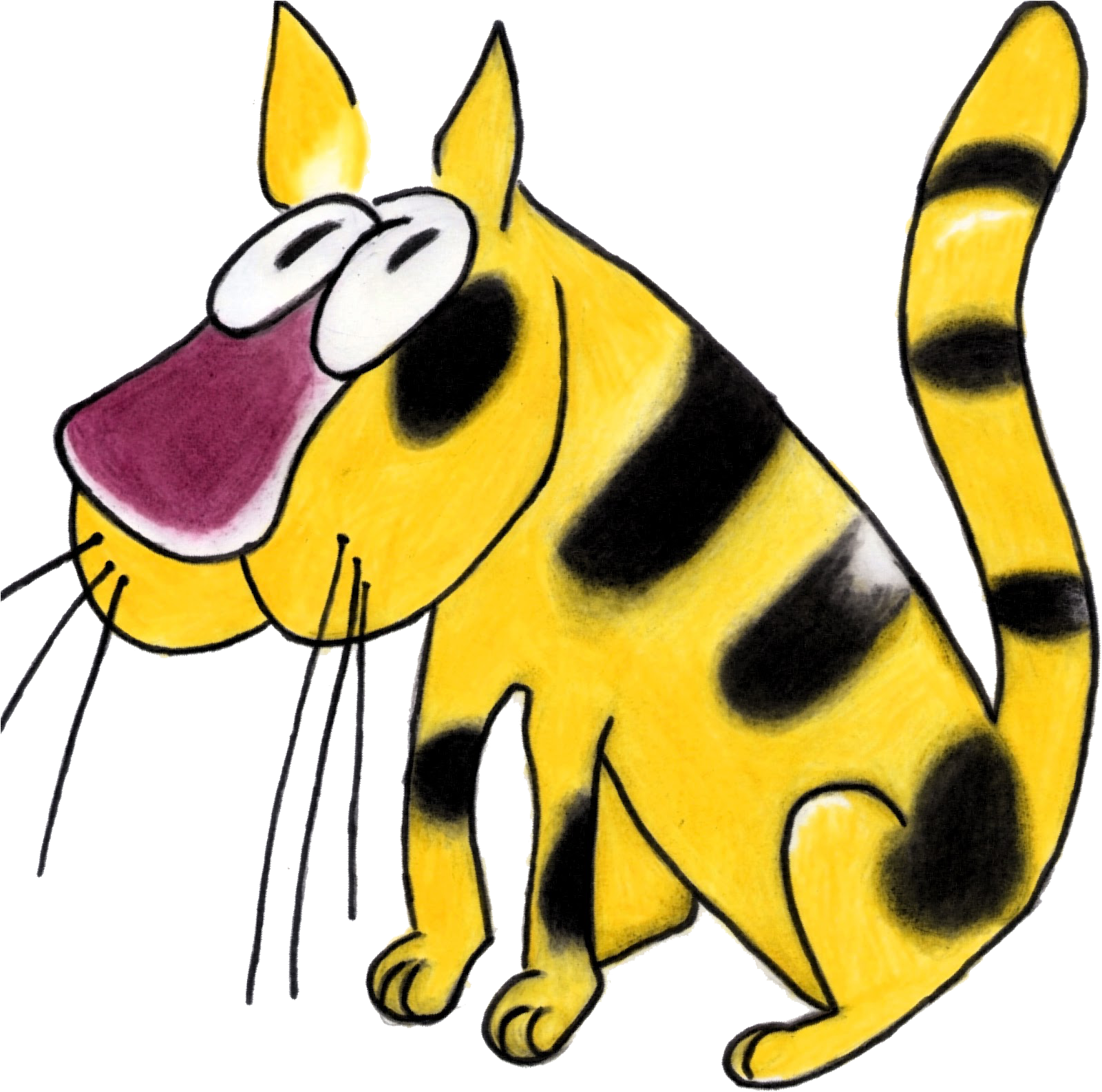 Gato Malhado - Gato Malhado Png (1600x1600), Png Download