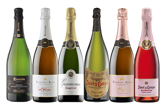Exclusive Sparkling - Champagne (627x750), Png Download
