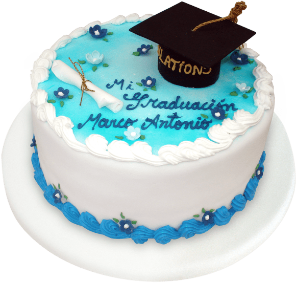 Torta Graduacion (656x597), Png Download
