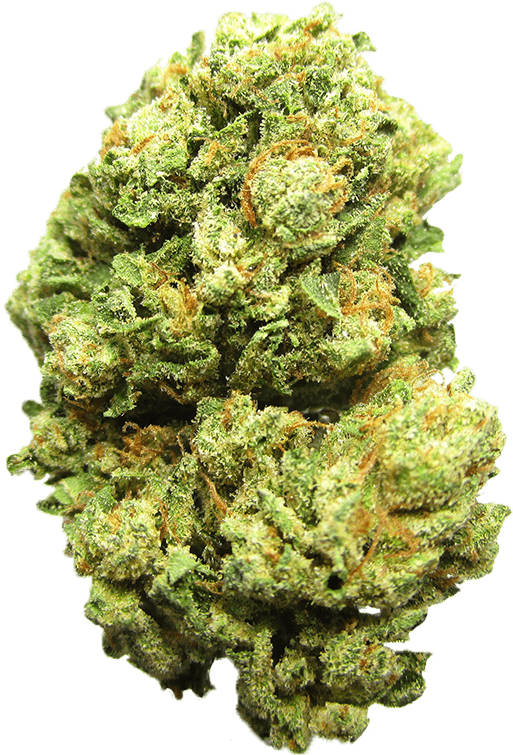 View More - Shortleaf Black Spruce (1280x1024), Png Download