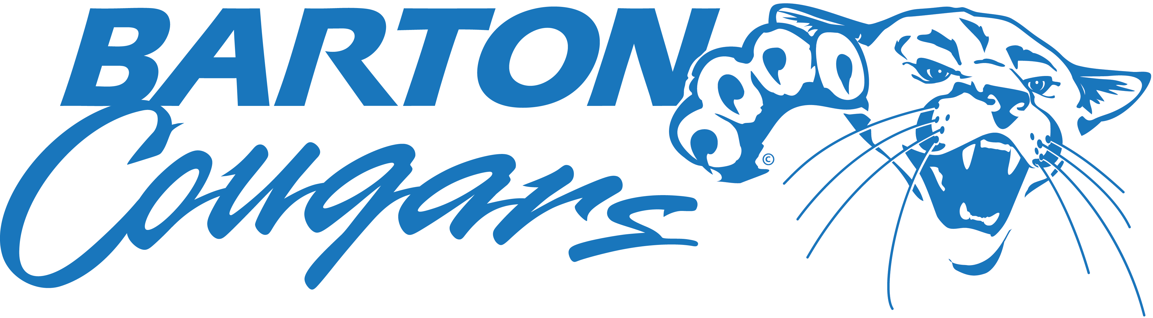 Jpg - Png - Barton Community College (4000x1105), Png Download