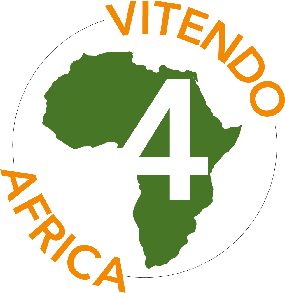 V4a - Vitendo For Africa (1920x1080), Png Download