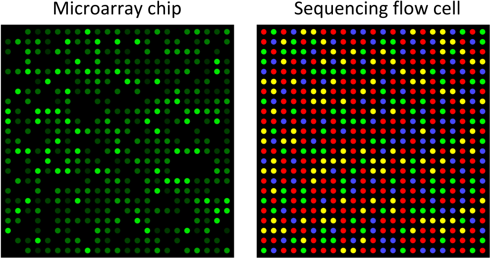 Microarray - Single Channel Microarray Chip (1000x541), Png Download