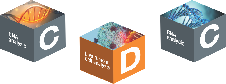 The Tumour And Blood Sample Are Extensively Analysed - Graphic Design (949x354), Png Download