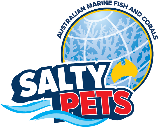 Salty Pets Pty Ltd - Illustration (619x608), Png Download