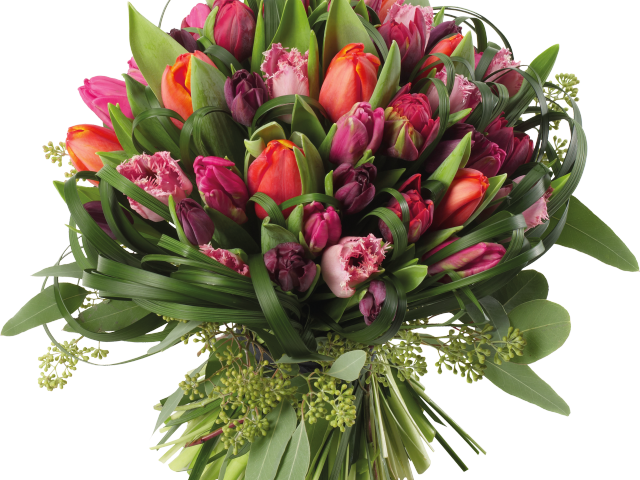 Tulip Clipart Flower Bokeh - Tulip Flower Bouquet Png (640x480), Png Download