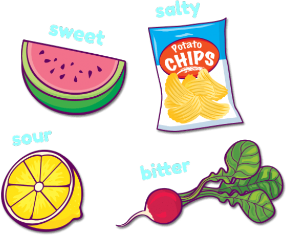 Sweet Sour Salty Bitter Foods Full Size Png Download Seekpng