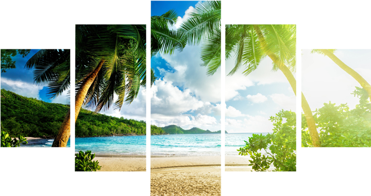 Coconut Tree Beach Canvas Wall Art - Palms Beach (800x800), Png Download