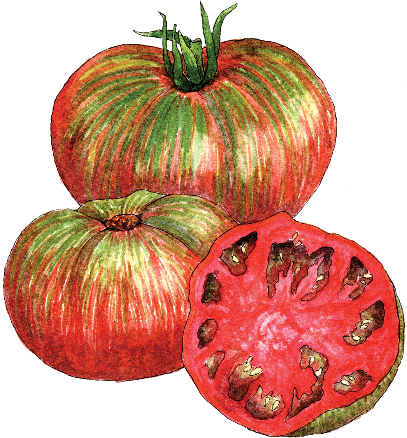 Pink Berkeley Tie Dye Tomato - Tomato (1395x1518), Png Download