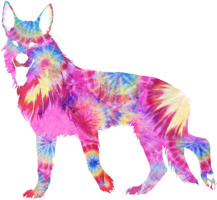 Tiedye - Mane (475x538), Png Download