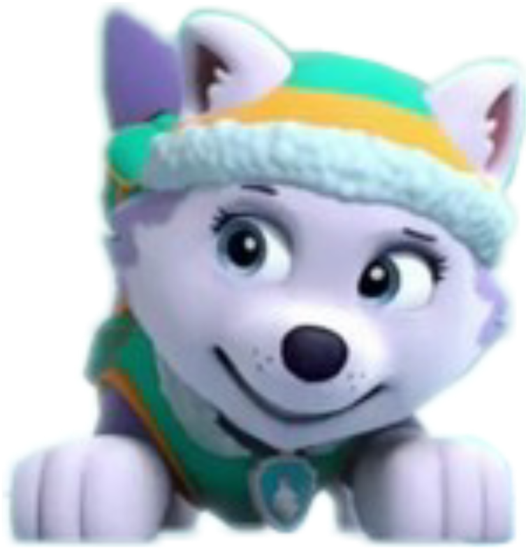 Everest Bruh Lit - Paw Patrol (1024x1024), Png Download