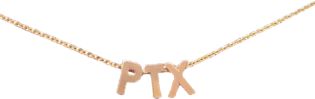 Ptx Rose Gold Necklace - Choker (1000x1000), Png Download