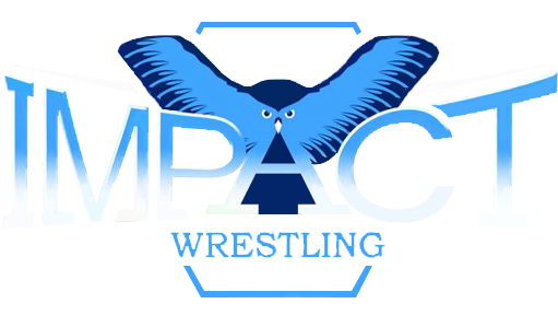 Tna Impact Wrestling Logo 2017 - Tna Logo 2017 Png (511x299), Png Download
