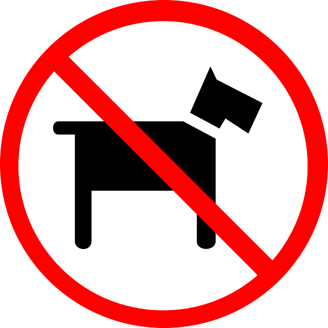 Park, Sign, Symbol, Signs, Dog, Road, Street, Dogs - No Dogs (640x640), Png Download