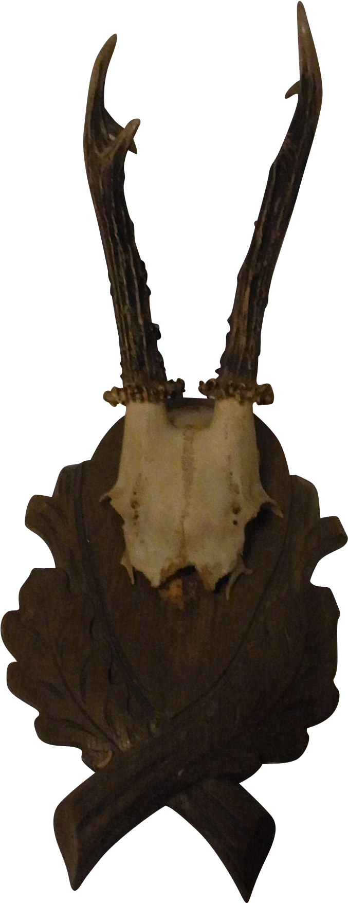 Vintage German Deer Antler Black Forest Wood Base - Antler (1755x1755), Png Download