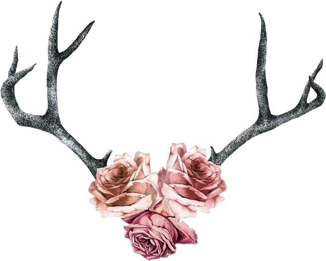 Clip Deer Antler Tattoo Horn - Deer Antlers And Flower Tattoo (657x525), Png Download