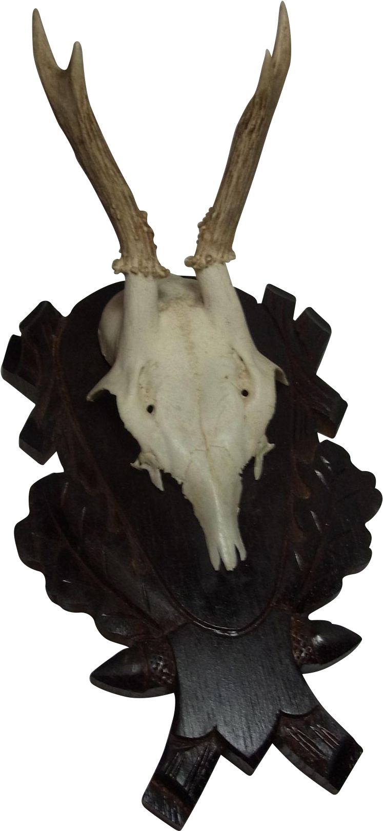 Vintage German Deer Antler Black Forest Wood Base - Reindeer (1620x1620), Png Download