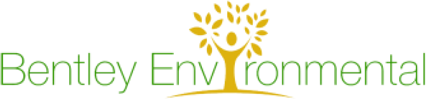 Cropped Bentley Environmental Logo1 - Thomas Cook Cruises (1000x255), Png Download