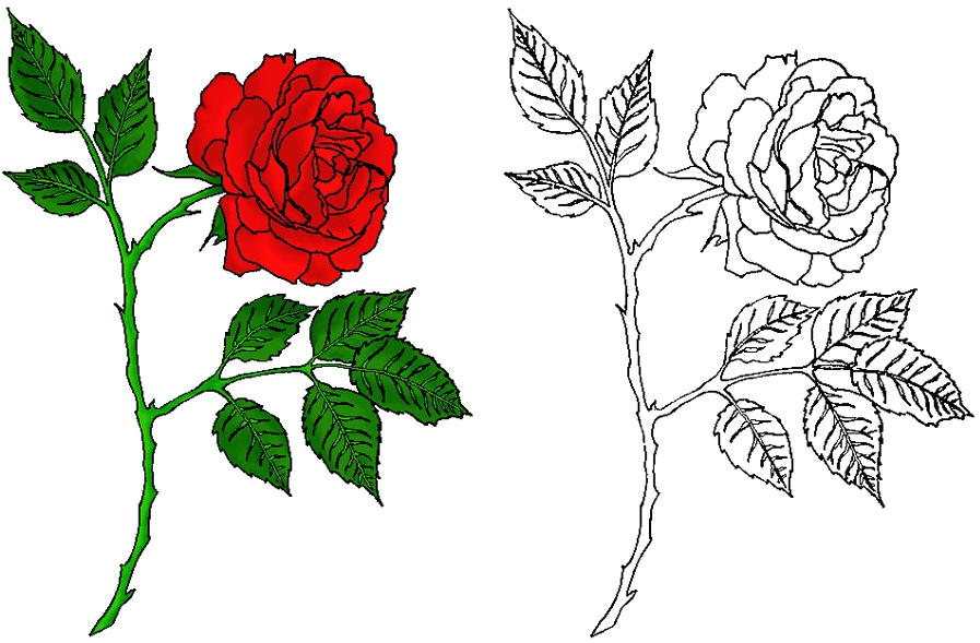 Rose Tattoo Png Free Download - Rose Tattoo Design Png (900x604), Png Download