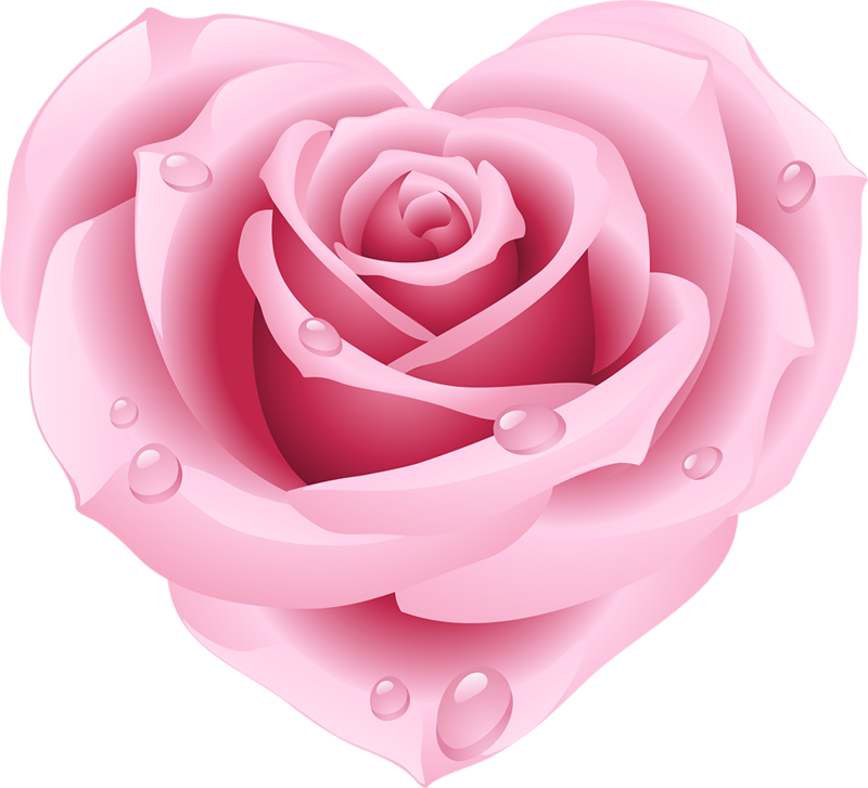Pink Rose - Pink Hearts And Roses (800x727), Png Download
