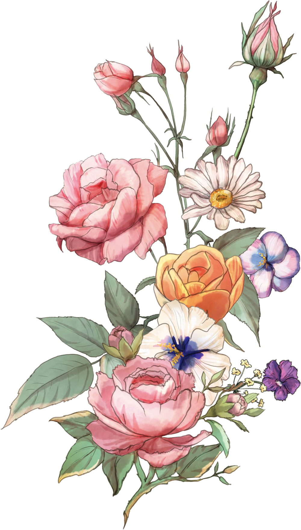 Png Freeuse Azalea Drawing Rose Tattoo Pin By Ratmissing (1000x1756), Png Download