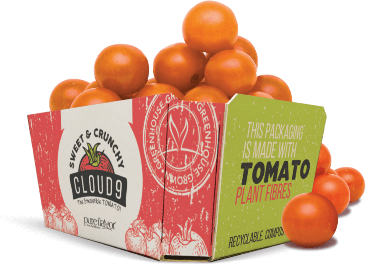 Uk Packaging Consultancy And Turnavisual Partner Thepackhub - Vegetable Fibres In Packaging (1236x1039), Png Download