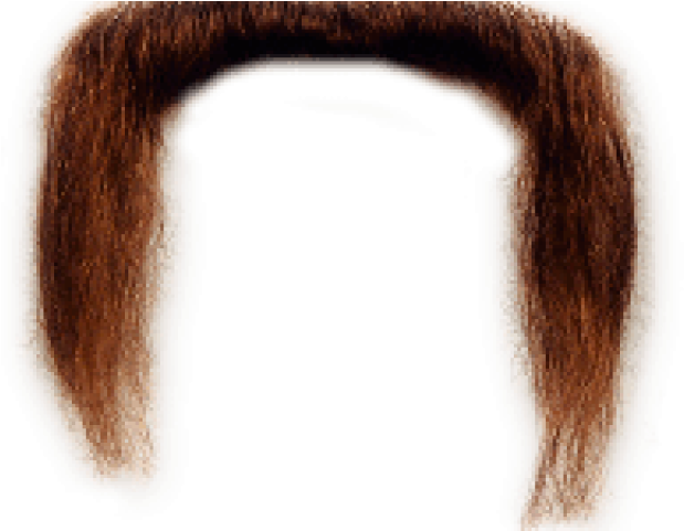 Free On Dumielauxepices Net - Beard (640x480), Png Download