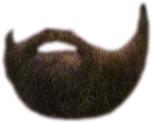 Beard Simulator Png Library Library - Beard Side View Png (516x427), Png Download