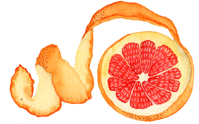 Grapefruit (533x425), Png Download