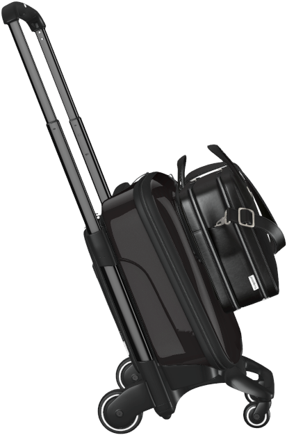 Strictly Business - - Garment Bag (548x670), Png Download