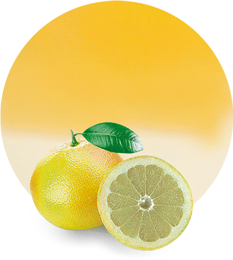 White Grapefruit Concentrate - Sweet Lemon (536x595), Png Download