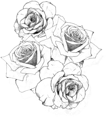 //wispy-hair - Tumblr - Com/ - Roses Transparent Simplicity - Rose Arm Tattoo Stencils (500x500), Png Download