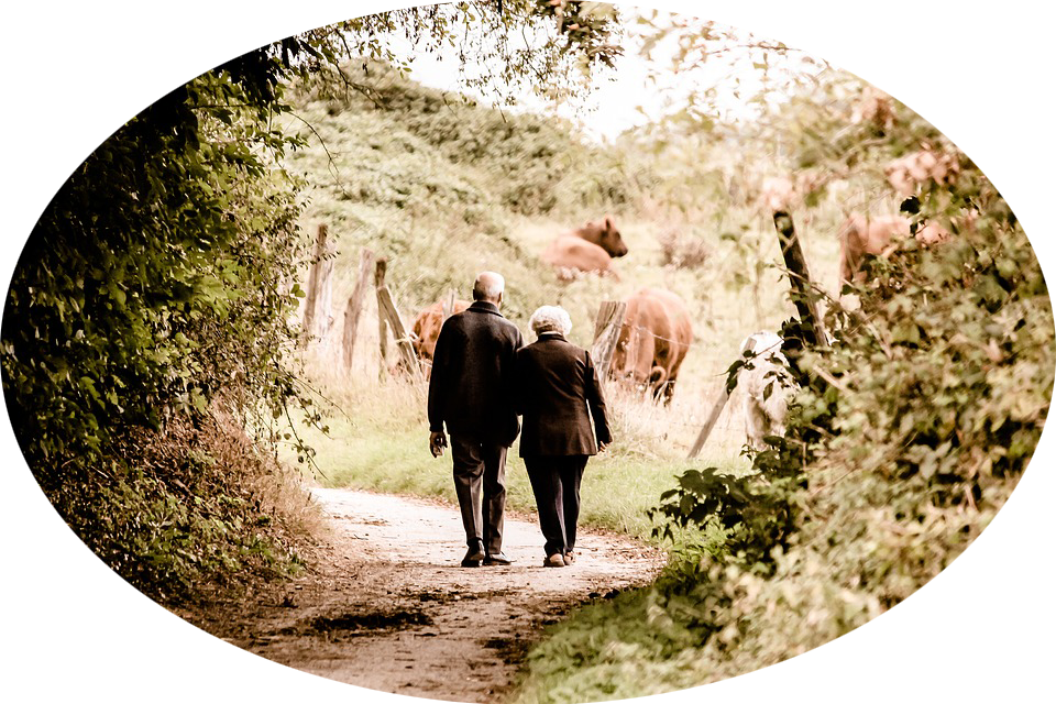 Medicare Part G Is One Of The Most Popular Supplement - Old Couple (960x640), Png Download