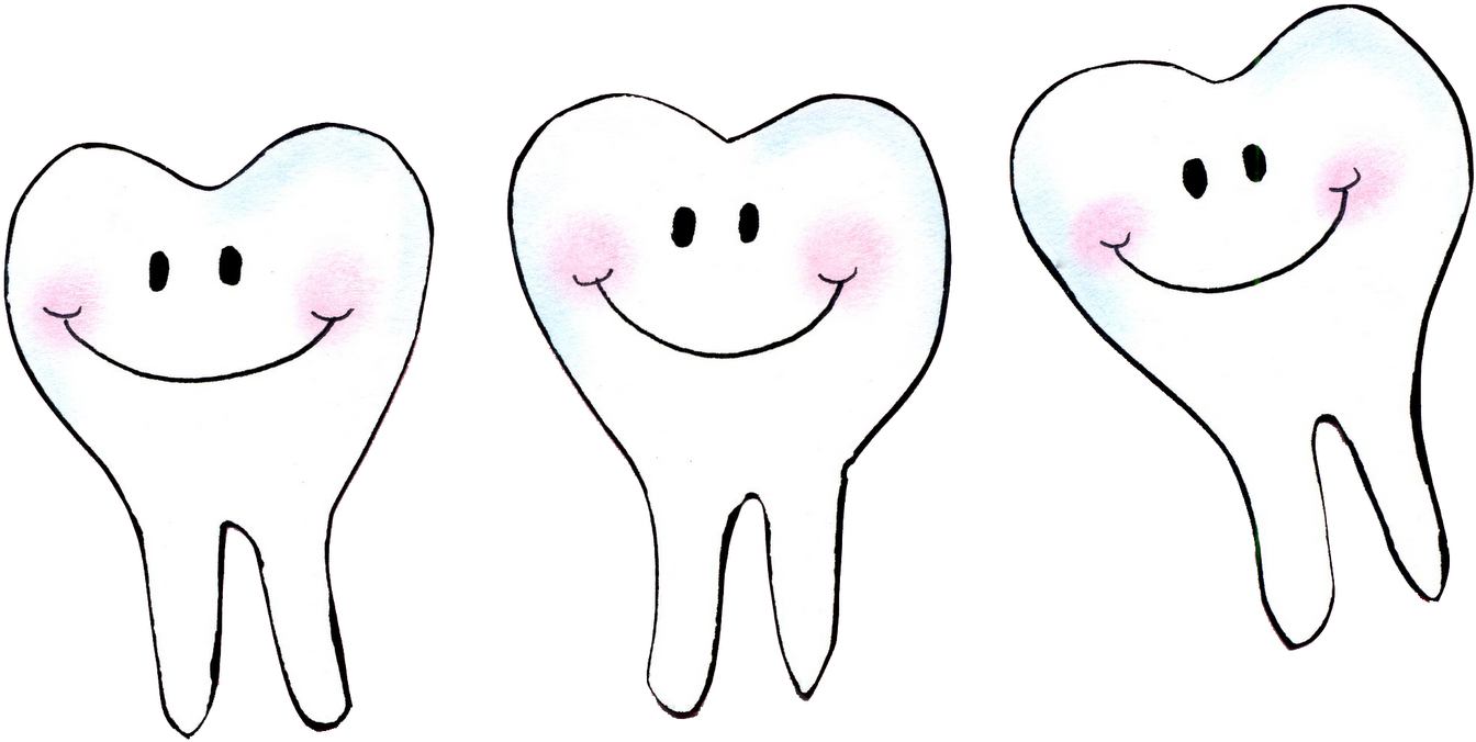Happy Teeth - Tooth And Teeth (1600x785), Png Download