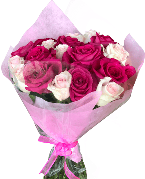 Diy 24 Hot & Light Pink Roses Bouquet Magnaflor - Garden Roses (600x600), Png Download