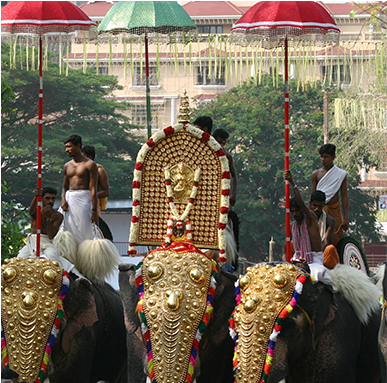 Layer - Indian Elephant (577x536), Png Download