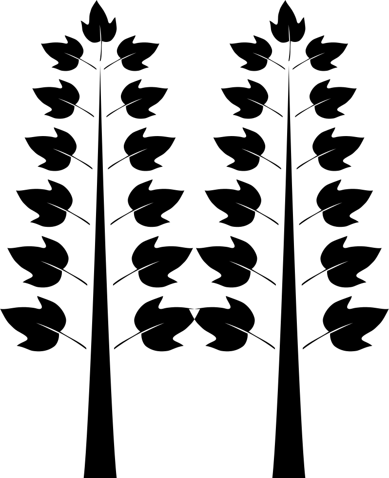Png File - Floral Design (798x980), Png Download