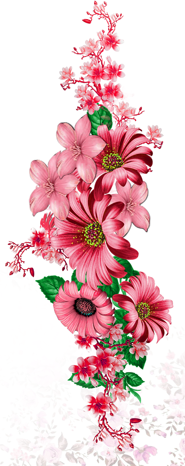 Vector,flower,vector Art,flower Vector,vector Flower - Barberton Daisy (636x1600), Png Download