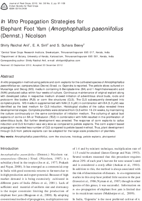 Pdf - Village Carpenter Bringing A Coffin (595x794), Png Download